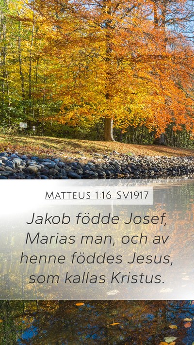 Matteus 1:16 SV1917 Bible Verse Image