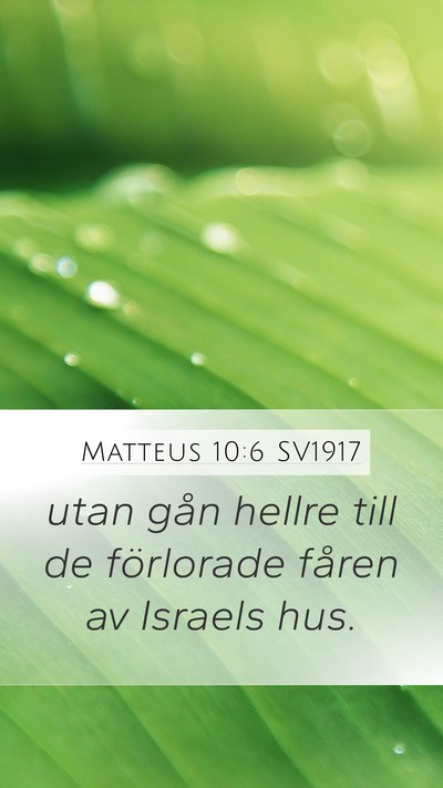 Matteus 10:6 SV1917 Bible Verse Image