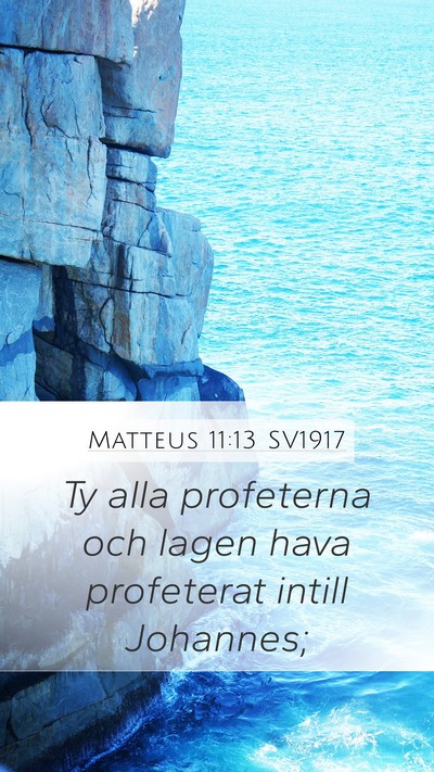 Matteus 11:13 SV1917 Bible Verse Image