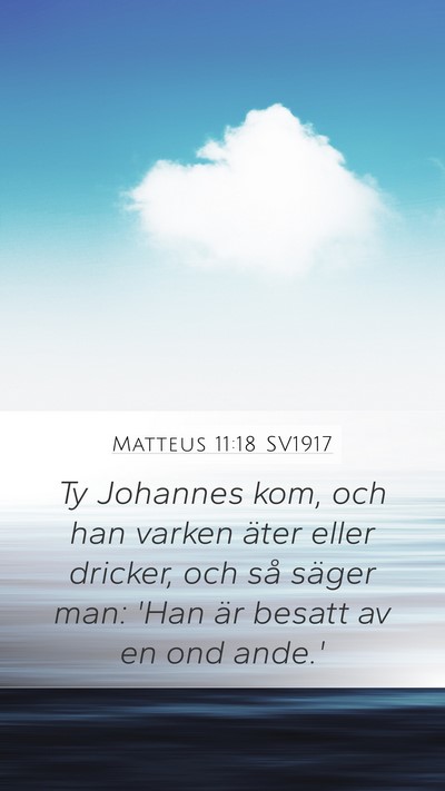 Matteus 11:18 SV1917 Bible Verse Image