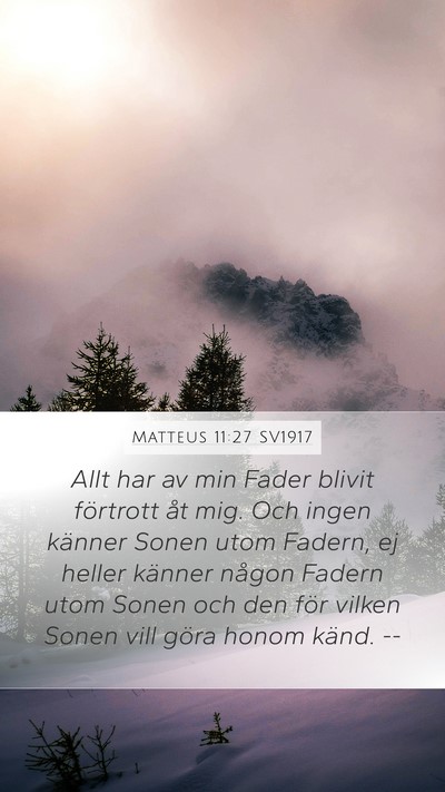 Matteus 11:27 SV1917 Bible Verse Image