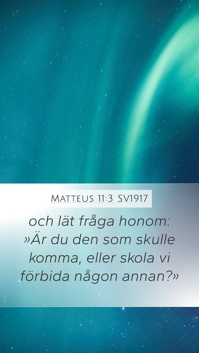 Matteus 11:3 SV1917 Bible Verse Image