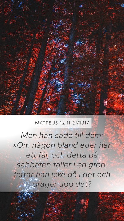 Matteus 12:11 SV1917 Bible Verse Image