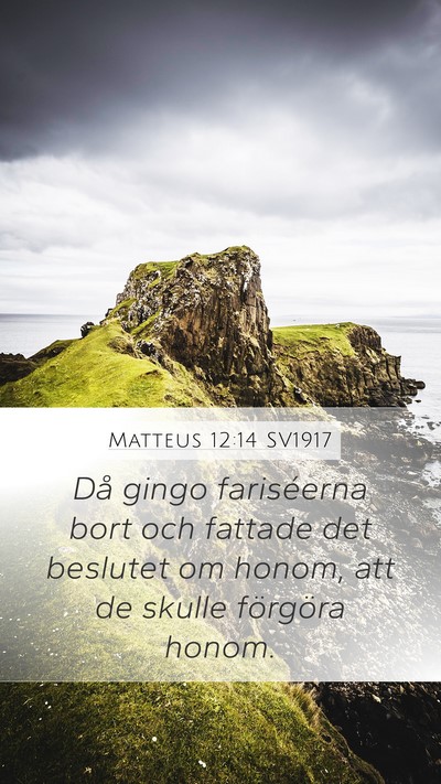 Matteus 12:14 SV1917 Bible Verse Image