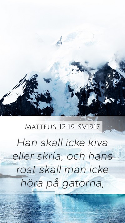 Matteus 12:19 SV1917 Bible Verse Image