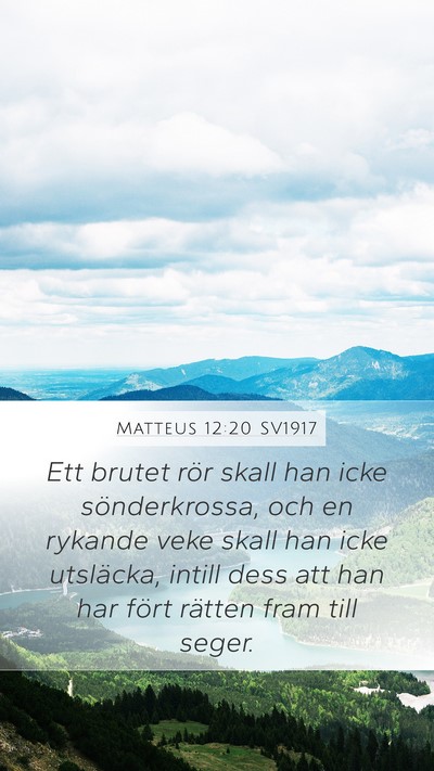 Matteus 12:20 SV1917 Bible Verse Image