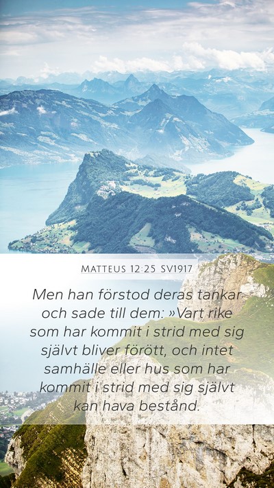 Matteus 12:25 SV1917 Bible Verse Image