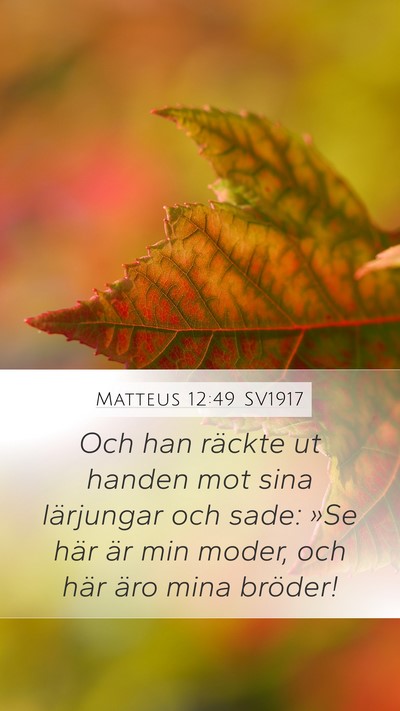Matteus 12:49 SV1917 Bible Verse Image