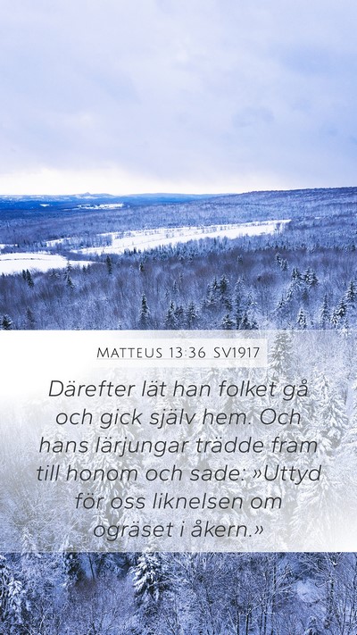 Matteus 13:36 SV1917 Bible Verse Image