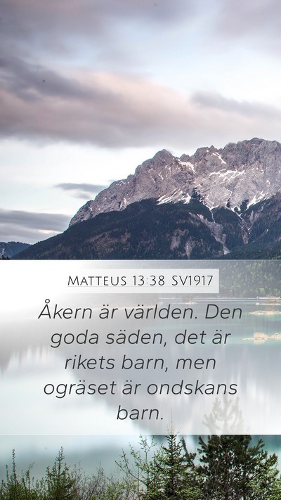 Matteus 13:38 SV1917 Bible Verse Image