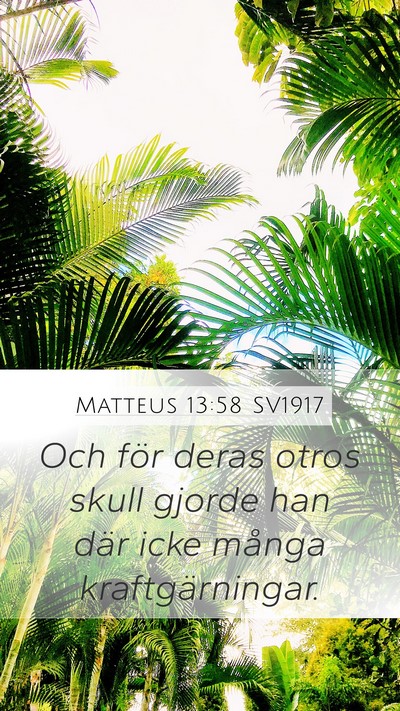 Matteus 13:58 SV1917 Bible Verse Image