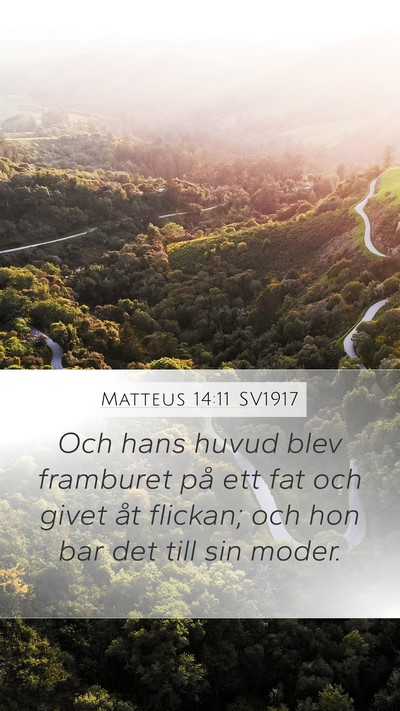 Matteus 14:11 SV1917 Bible Verse Image