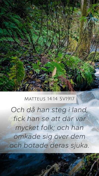 Matteus 14:14 SV1917 Mobile Phone Wallpaper - Och då han steg i land, fick han se att där var - Mobile Bible Verse Wallpaper