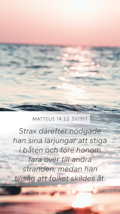 Matteus 14:22 SV1917 Bible Verse Image