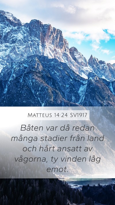 Matteus 14:24 SV1917 Bible Verse Image