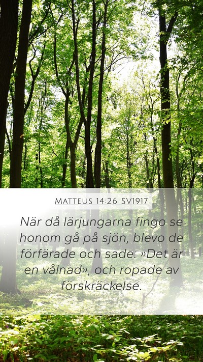 Matteus 14:26 SV1917 Bible Verse Image