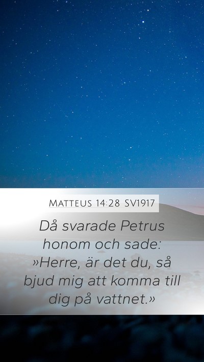 Matteus 14:28 SV1917 Mobile Phone Wallpaper - Då svarade Petrus honom och sade: »Herre, är - Mobile Bible Verse Wallpaper