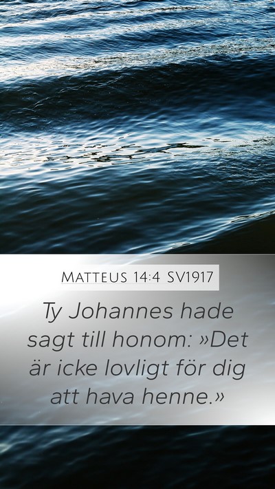 Matteus 14:4 SV1917 Bible Verse Image