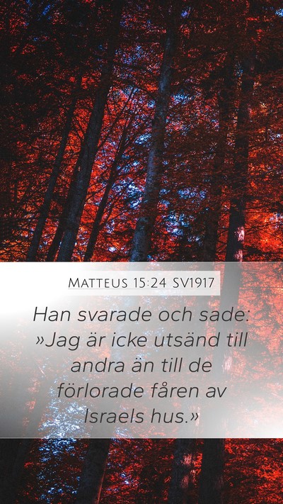 Matteus 15:24 SV1917 Bible Verse Image