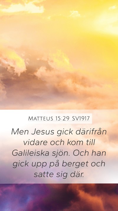 Matteus 15:29 SV1917 Bible Verse Image