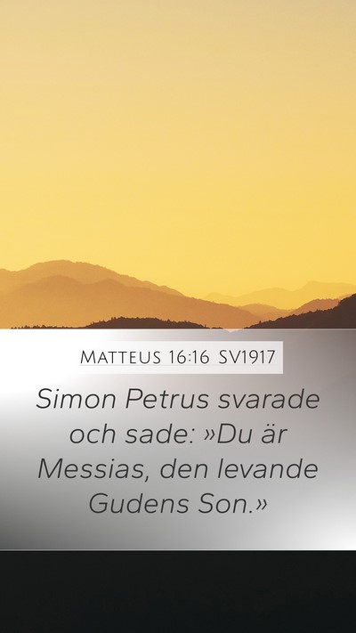 Matteus 16:16 SV1917 Bible Verse Image