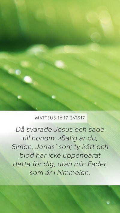 Matteus 16:17 SV1917 Bible Verse Image