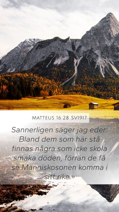 Matteus 16:28 SV1917 Bible Verse Image