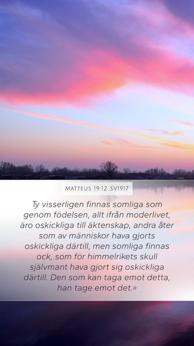 Matteus 19:12 SV1917 Mobile Phone Wallpaper - Ty visserligen finnas somliga som genom - Mobile Bible Verse Wallpaper