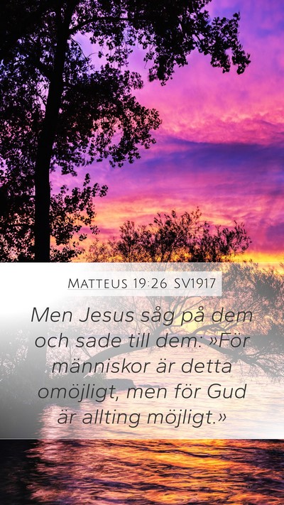 Matteus 19:26 SV1917 Bible Verse Image