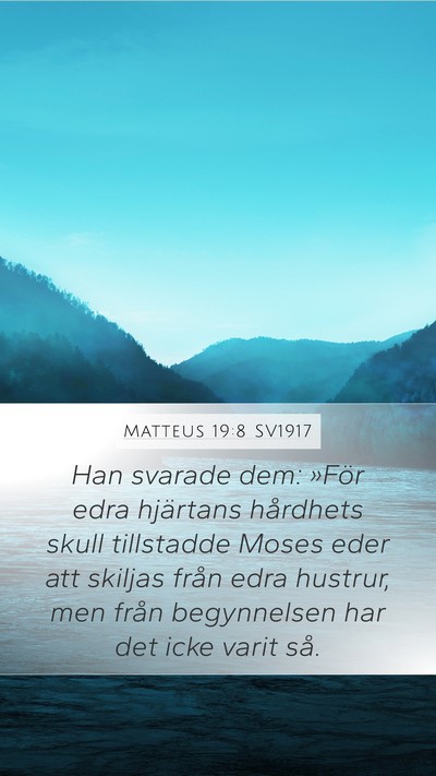 Matteus 19:8 SV1917 Bible Verse Image
