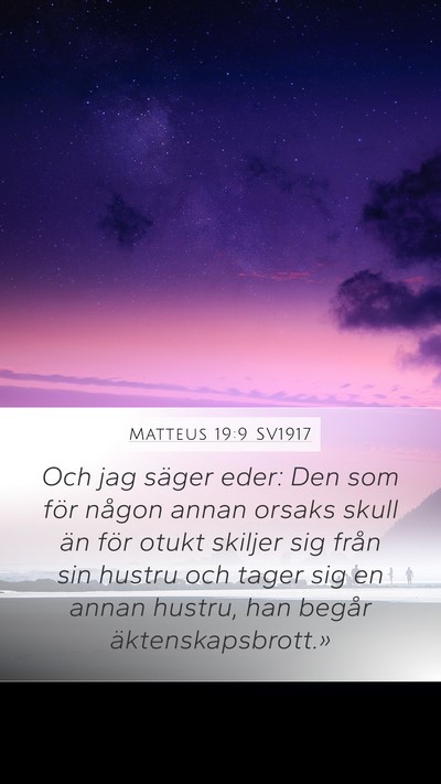 Matteus 19:9 SV1917 Bible Verse Image