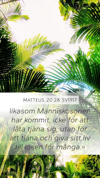Matteus 20:28 SV1917 Bible Verse Image