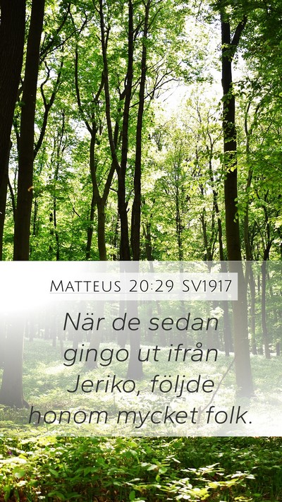 Matteus 20:29 SV1917 Bible Verse Image