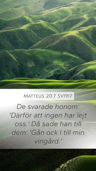 Matteus 20:7 SV1917 Mobile Phone Wallpaper - De svarade honom: 'Därför att ingen har lejt - Mobile Bible Verse Wallpaper