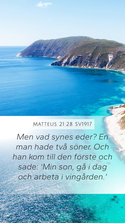 Matteus 21:28 SV1917 Bible Verse Image