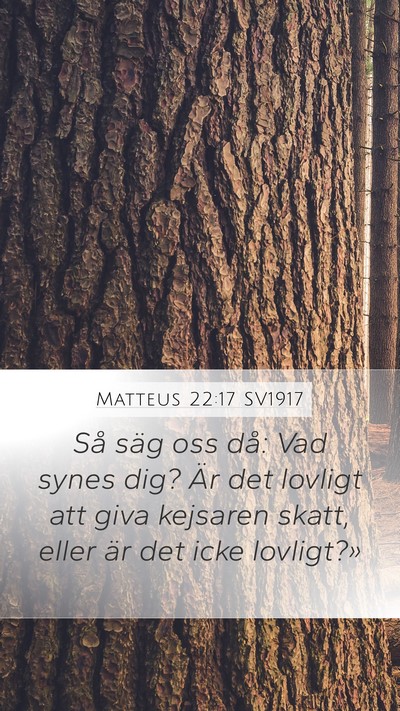 Matteus 22:17 SV1917 Bible Verse Image