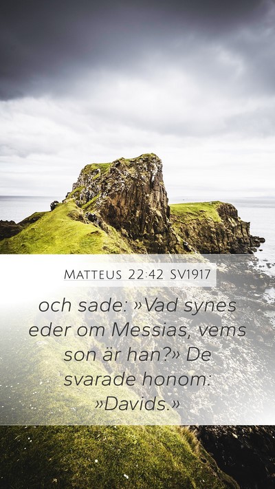 Matteus 22:42 SV1917 Bible Verse Image