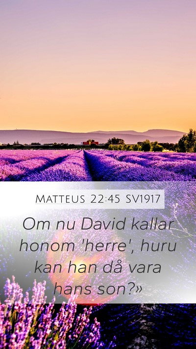 Matteus 22:45 SV1917 Mobile Phone Wallpaper - Om nu David kallar honom 'herre', huru kan han - Mobile Bible Verse Wallpaper