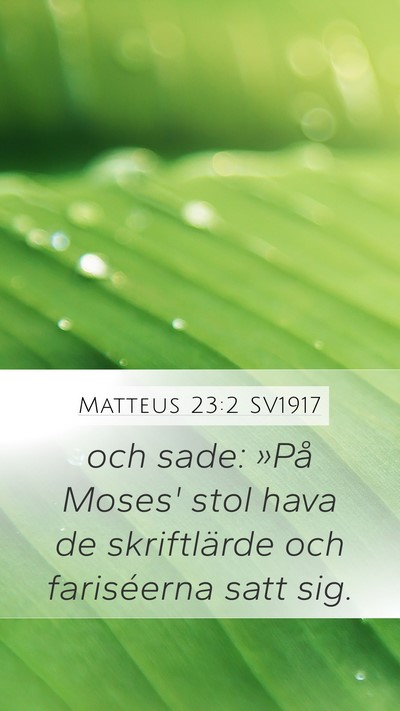 Matteus 23:2 SV1917 Bible Verse Image
