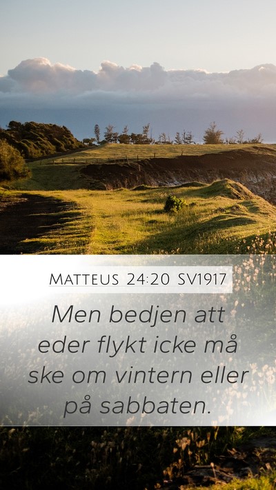 Matteus 24:20 SV1917 Mobile Phone Wallpaper - Men bedjen att eder flykt icke må ske om vintern - Mobile Bible Verse Wallpaper