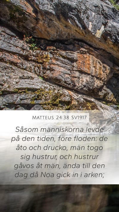 Matteus 24:38 SV1917 Bible Verse Image
