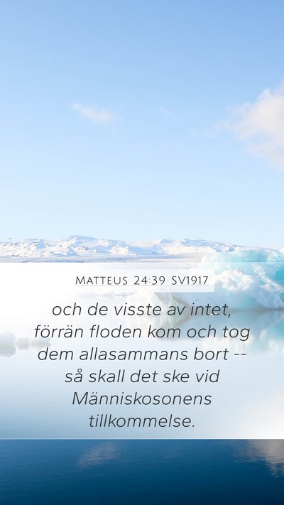 Matteus 24:39 SV1917 Bible Verse Image