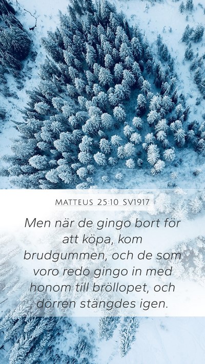 Matteus 25:10 SV1917 Bible Verse Image