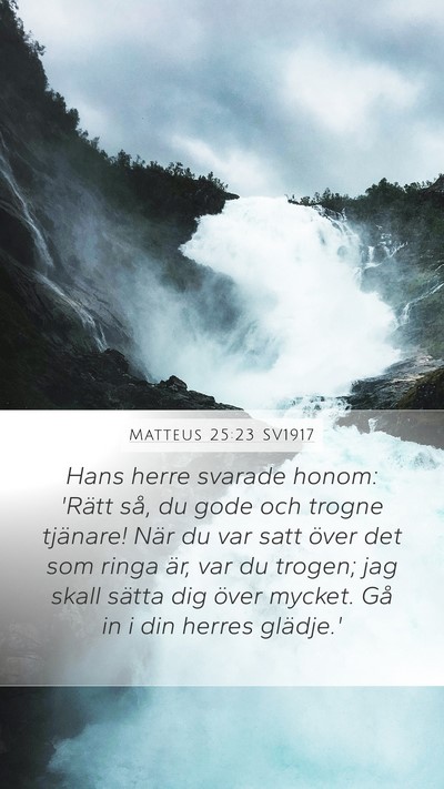 Matteus 25:23 SV1917 Bible Verse Image