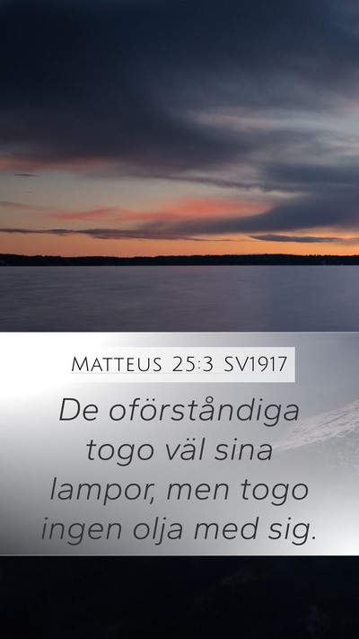 Matteus 25:3 SV1917 Mobile Phone Wallpaper - De oförståndiga togo väl sina lampor, men togo - Mobile Bible Verse Wallpaper