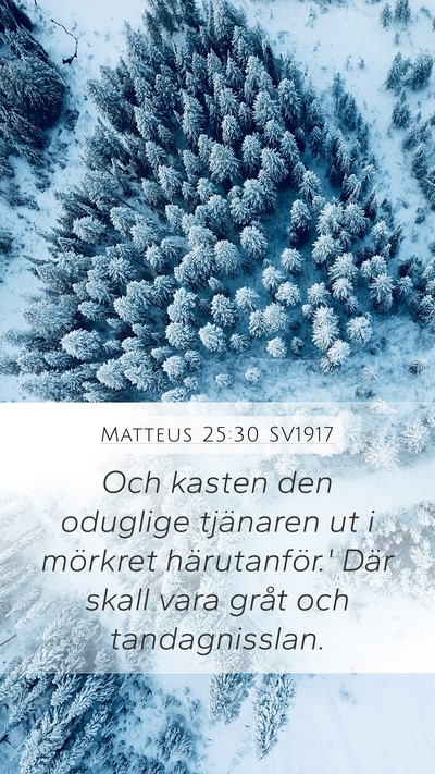 Matteus 25:30 SV1917 Bible Verse Image