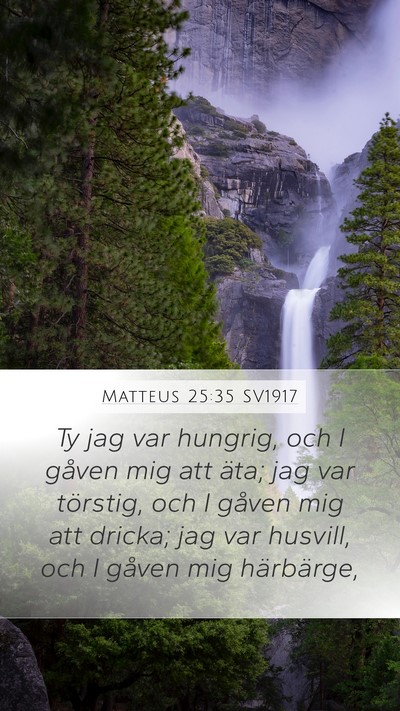 Matteus 25:35 SV1917 Bible Verse Image
