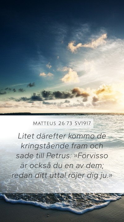 Matteus 26:73 SV1917 Bible Verse Image