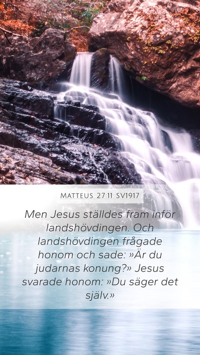 Matteus 27:11 SV1917 Bible Verse Image
