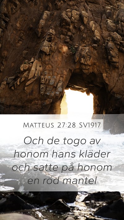 Matteus 27:28 SV1917 Bible Verse Image